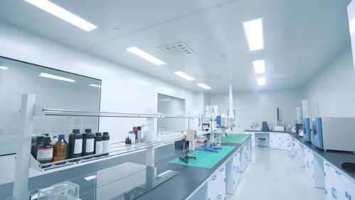 鑄就極致產(chǎn)品 打響中國(guó)智造 走進(jìn)中威時(shí)和汽車膜工廠的技術(shù)服務(wù)探索